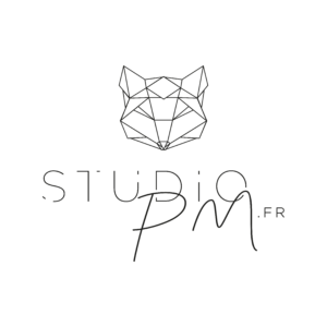 logo studiopm - reseaux sociaux site internet consulting